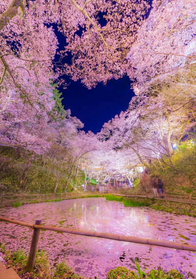  | 絶景事典