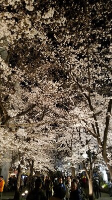  | 絶景事典