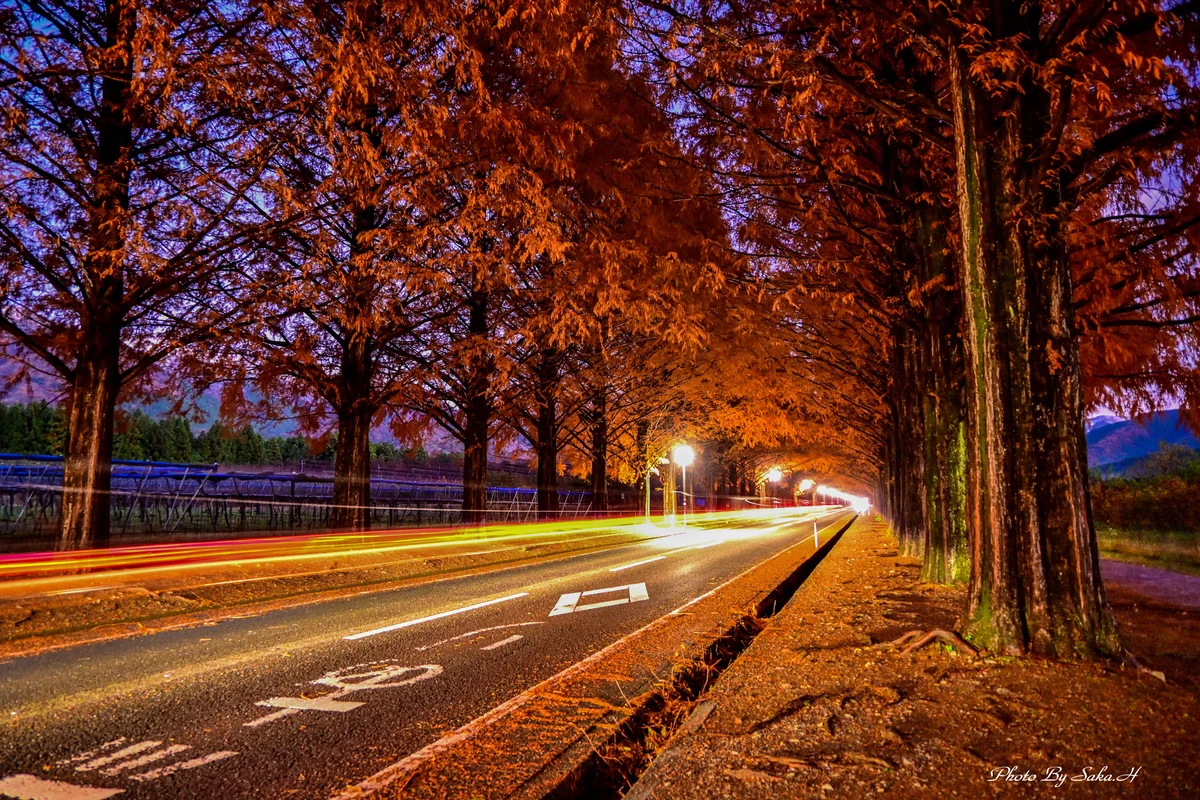 投稿写真：レーザービーム