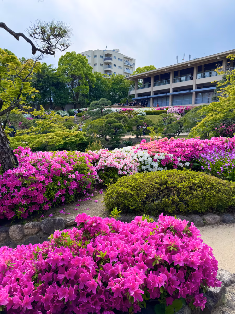 投稿写真：都会の中の日本庭園 相楽園