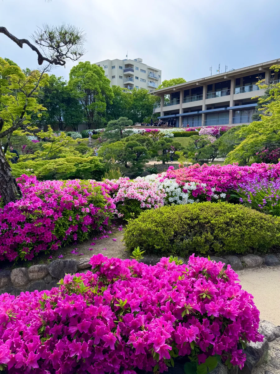 投稿写真：都会の中の日本庭園 相楽園