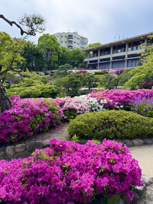  | 絶景事典