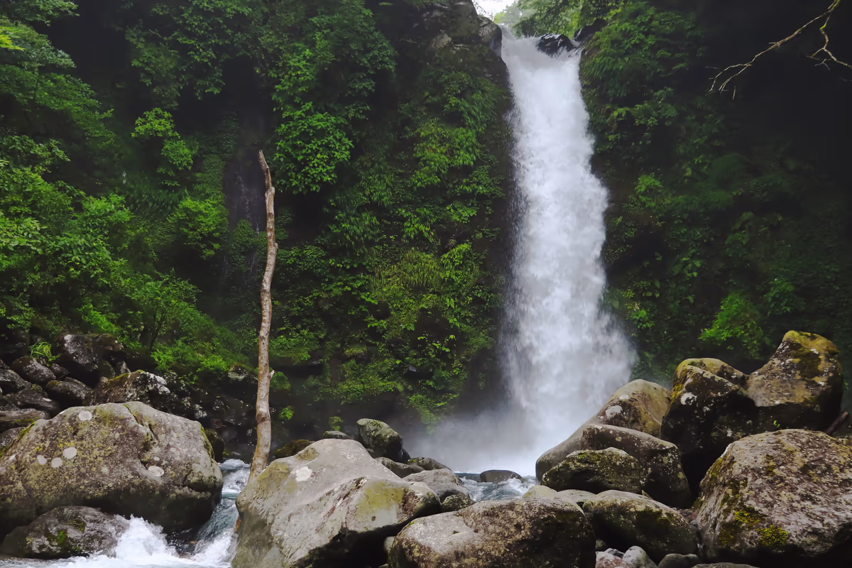 投稿写真：大棚の滝