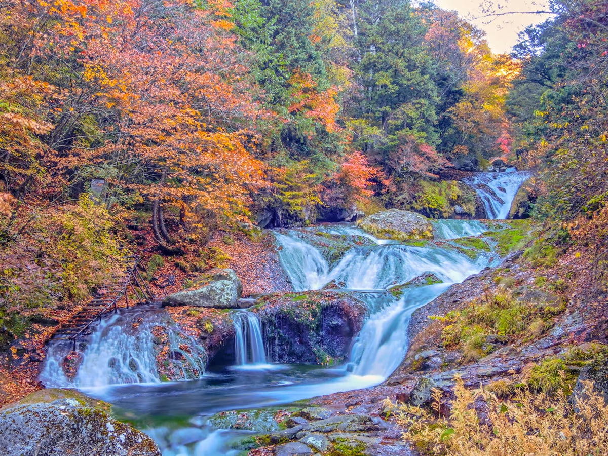 投稿写真：紅葉のおしどり隠しの滝