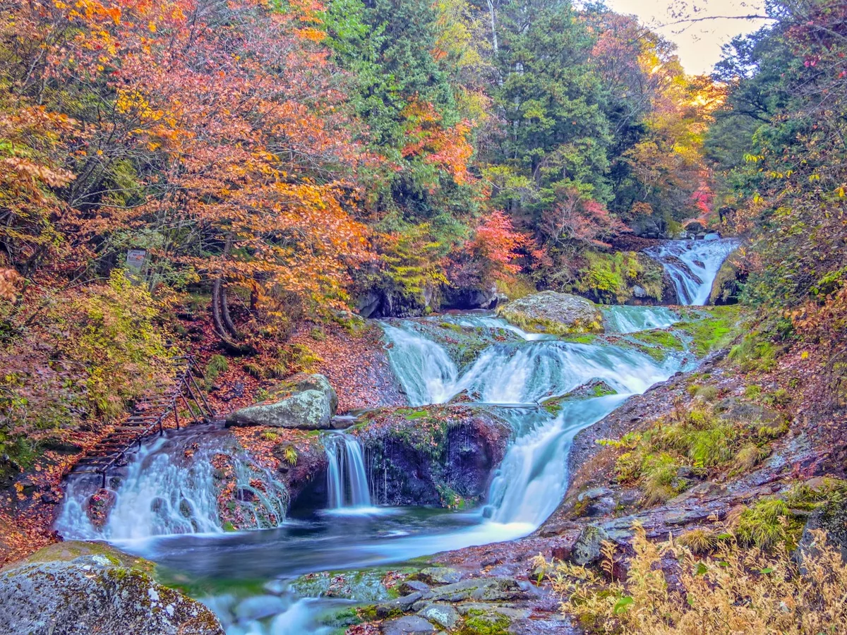 投稿写真：紅葉のおしどり隠しの滝