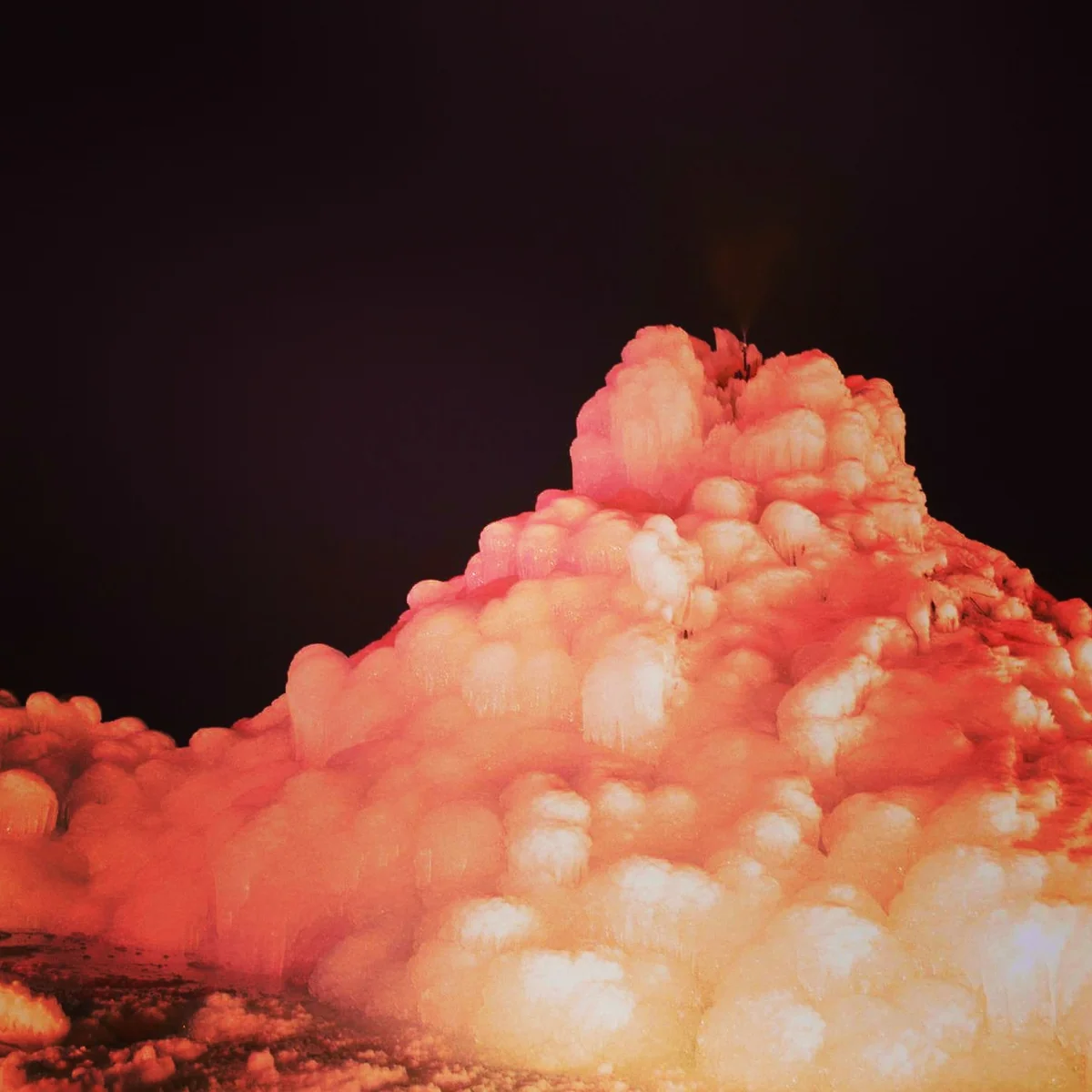 投稿写真：野鳥の森公園の樹氷