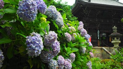  | 絶景事典