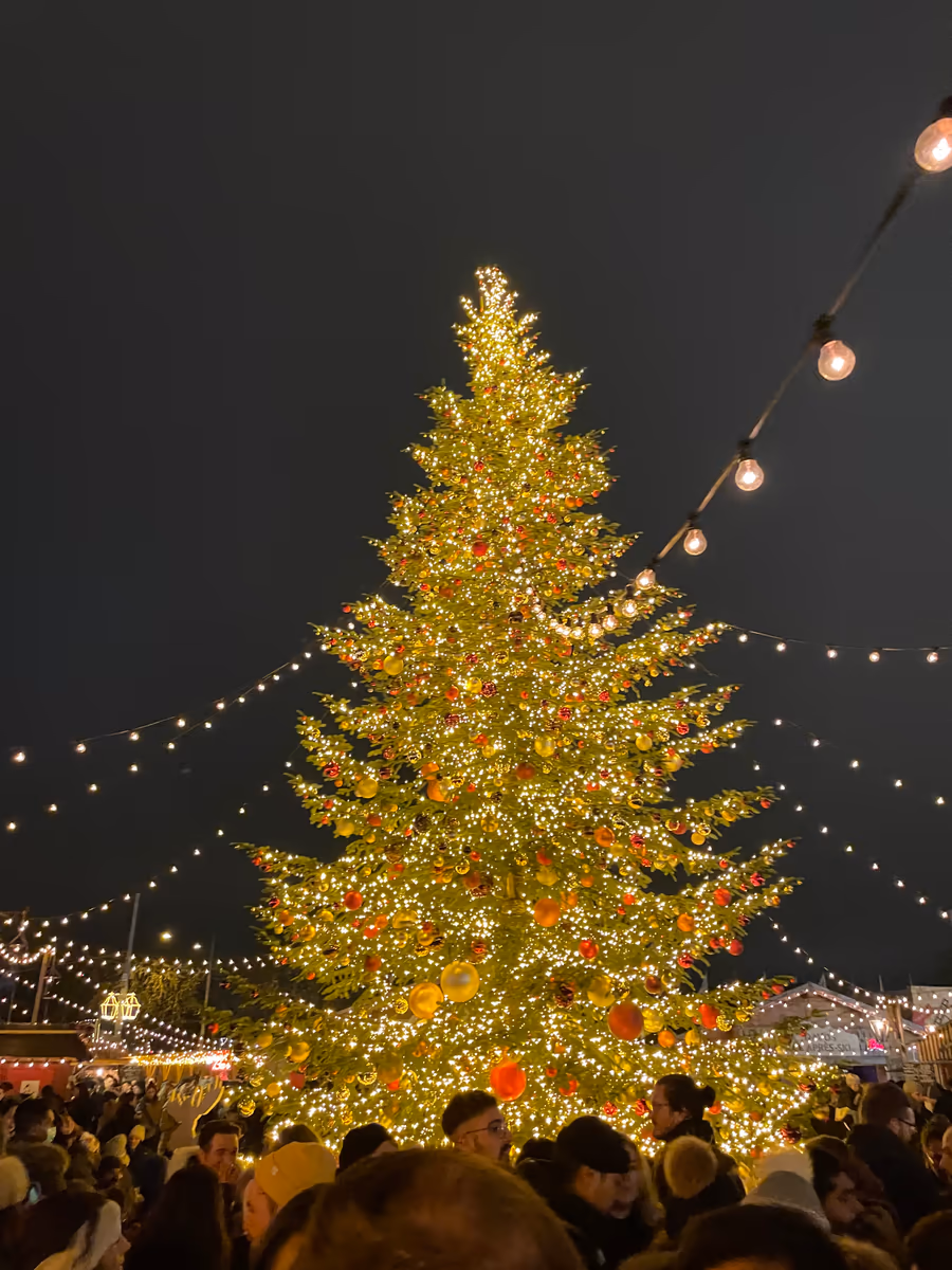 投稿写真：Switzerland Zurich