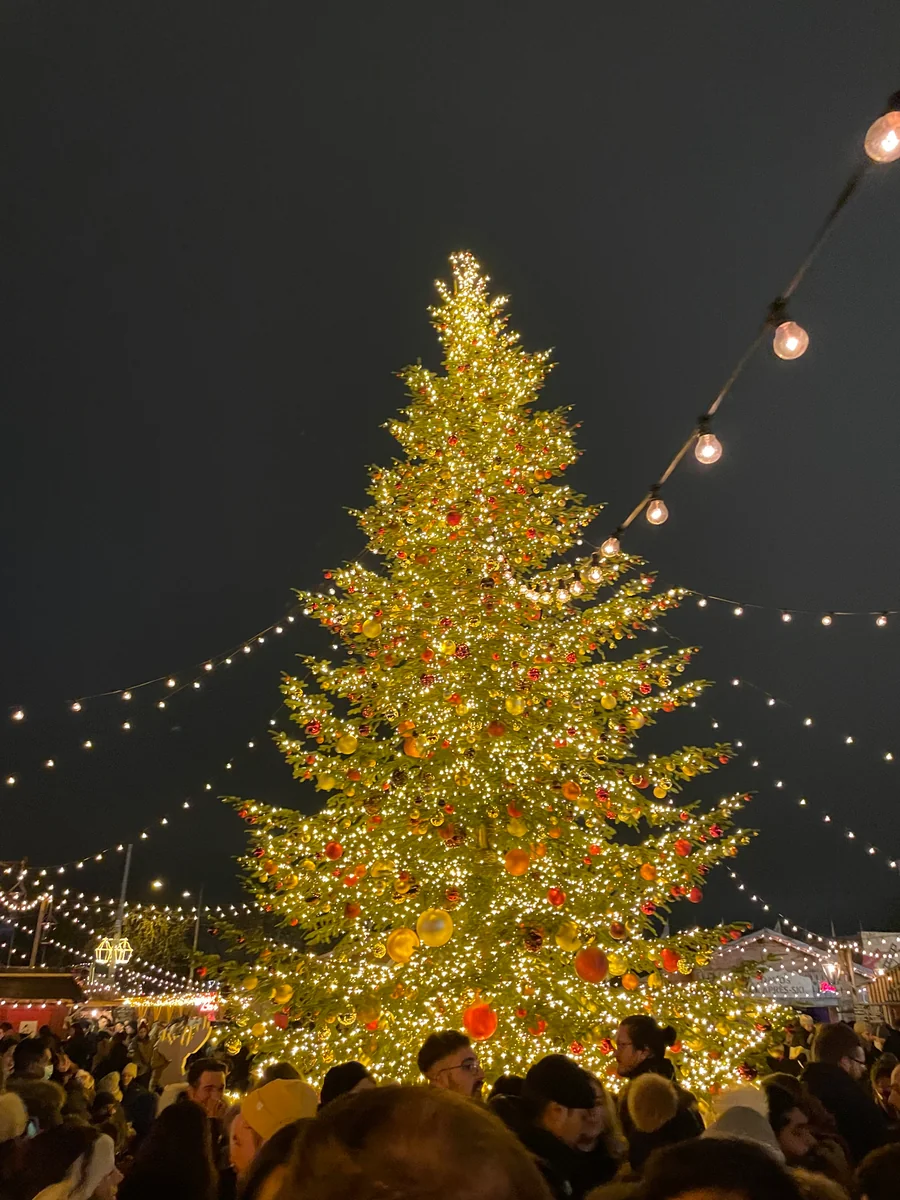 投稿写真：Switzerland Zurich