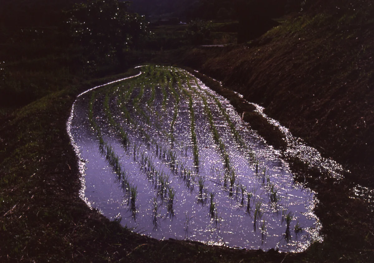 投稿写真：かわいいね