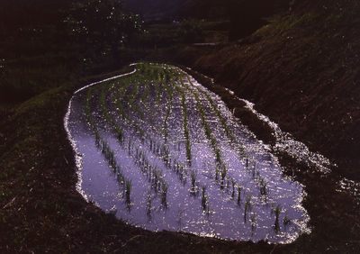 投稿：かわいいね
