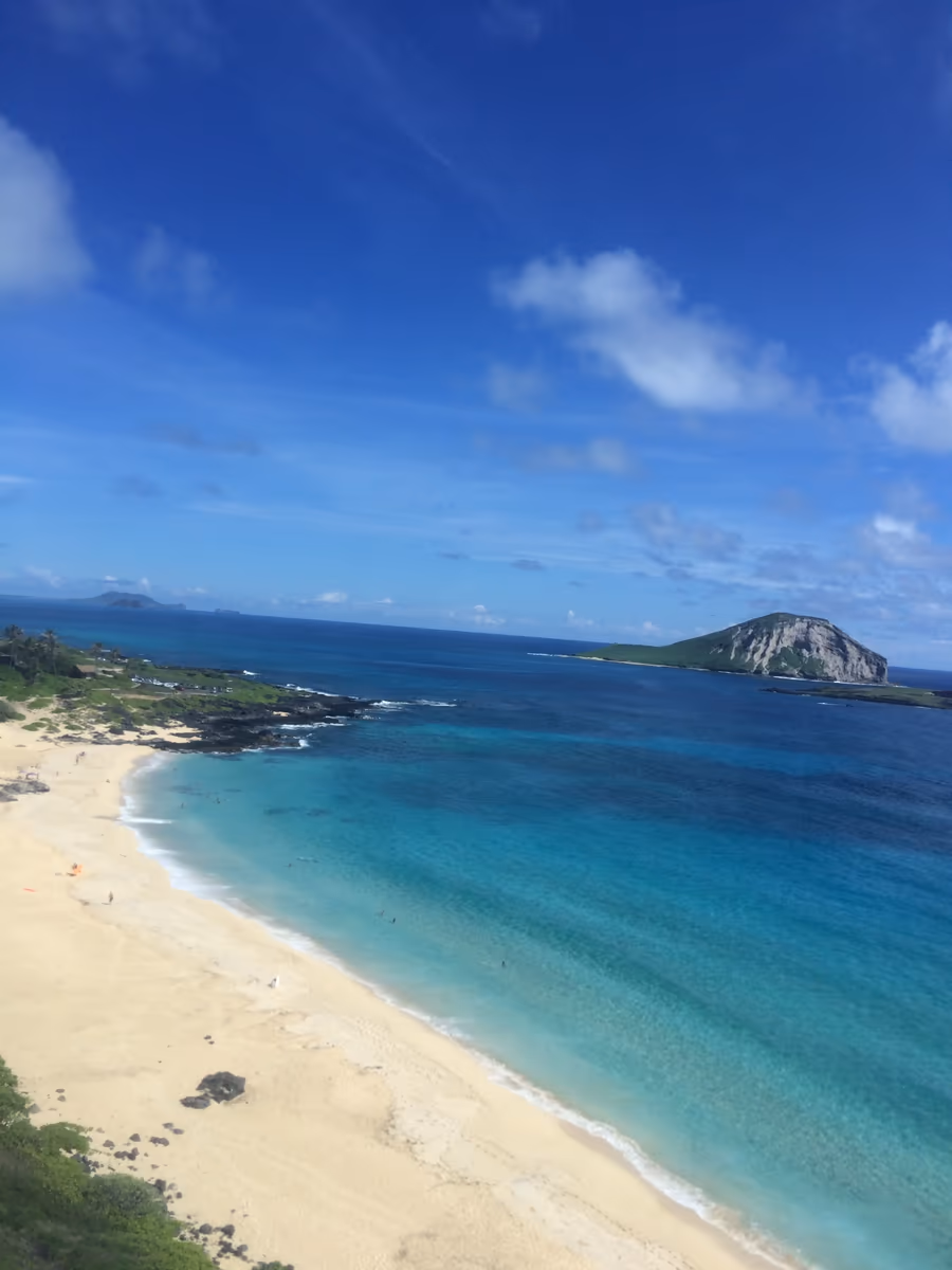 投稿写真：ラビット島