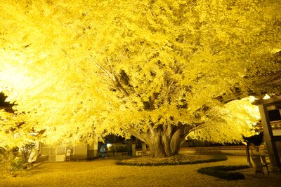  | 絶景事典