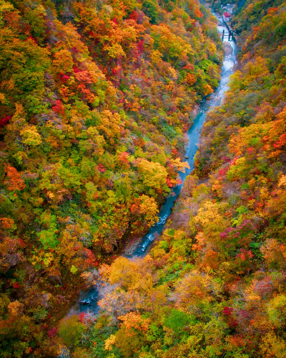 投稿写真：登別渓谷