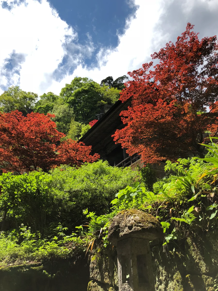 投稿写真：Colors