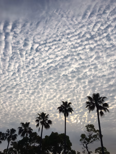 投稿：雲