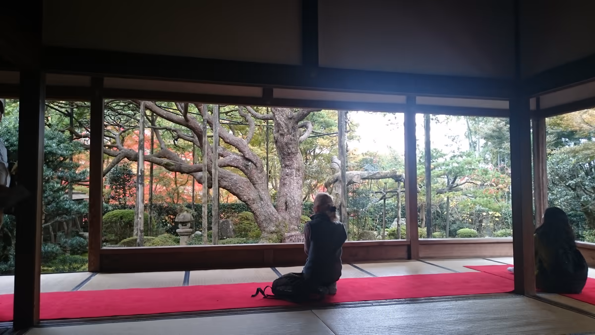 投稿写真：京都大原宝泉院