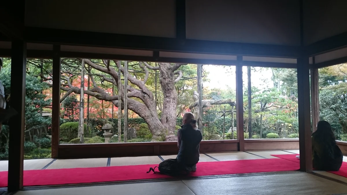 投稿写真：京都大原宝泉院