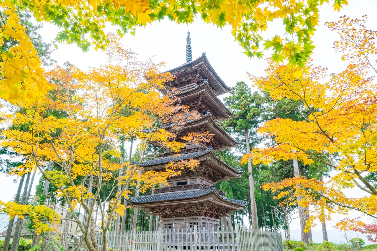 投稿写真：紅葉の妙宣寺五重塔（佐渡島）