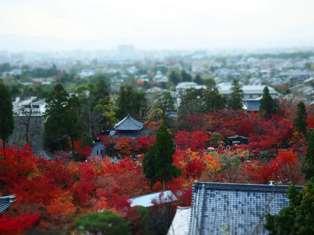 投稿写真：京都永観堂紅葉