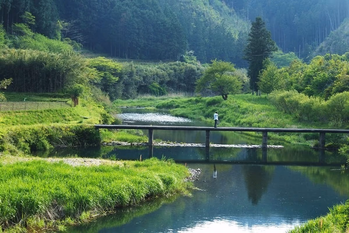 投稿写真：高樋沈下橋