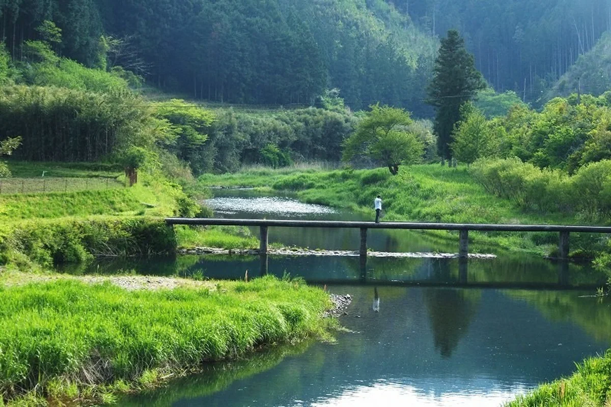 投稿写真：高樋沈下橋