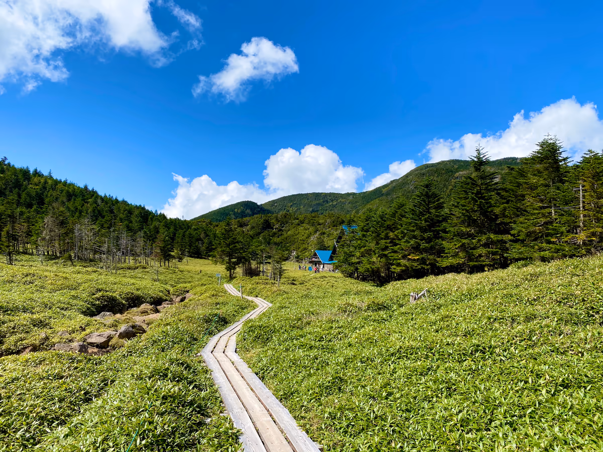 投稿写真：縞枯山荘付近
