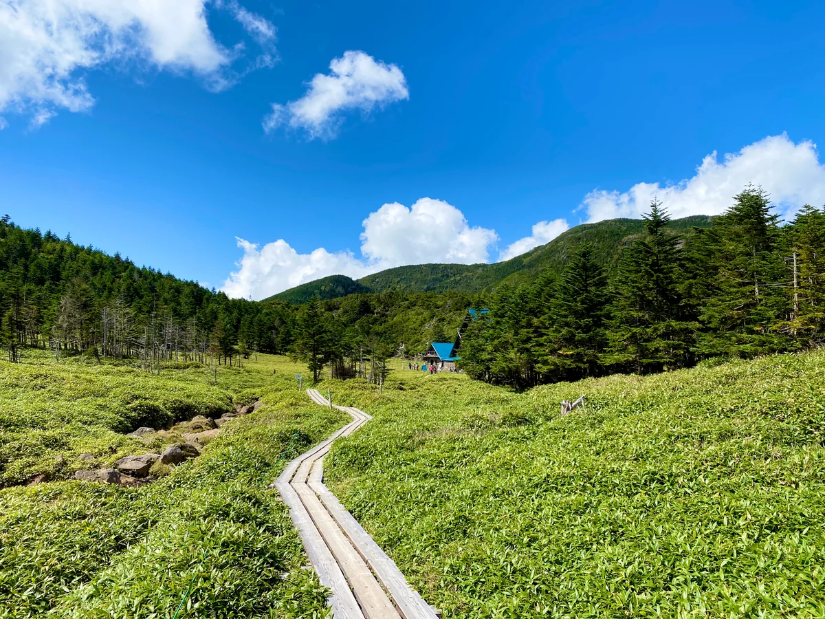 投稿写真：縞枯山荘付近