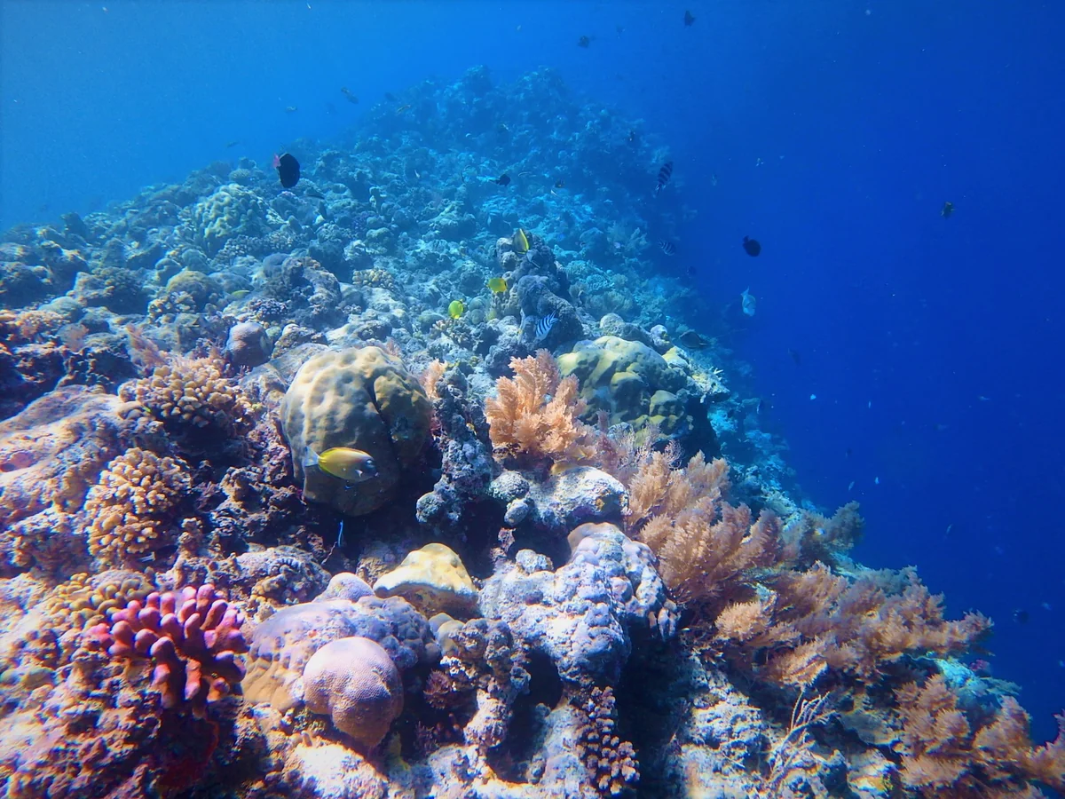 投稿写真：ビッグドロップオフ