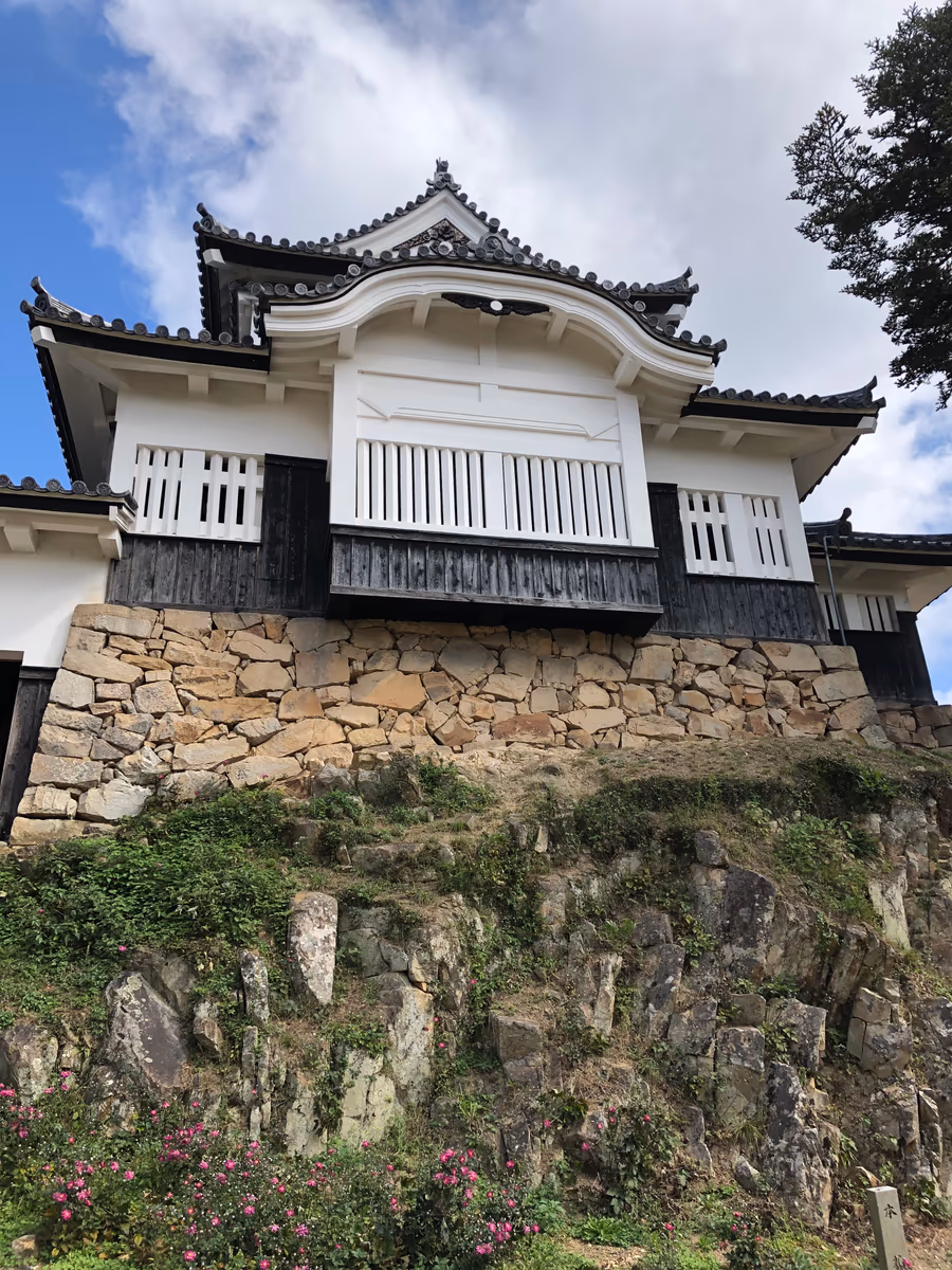 投稿写真：秋明菊と備中松山城
