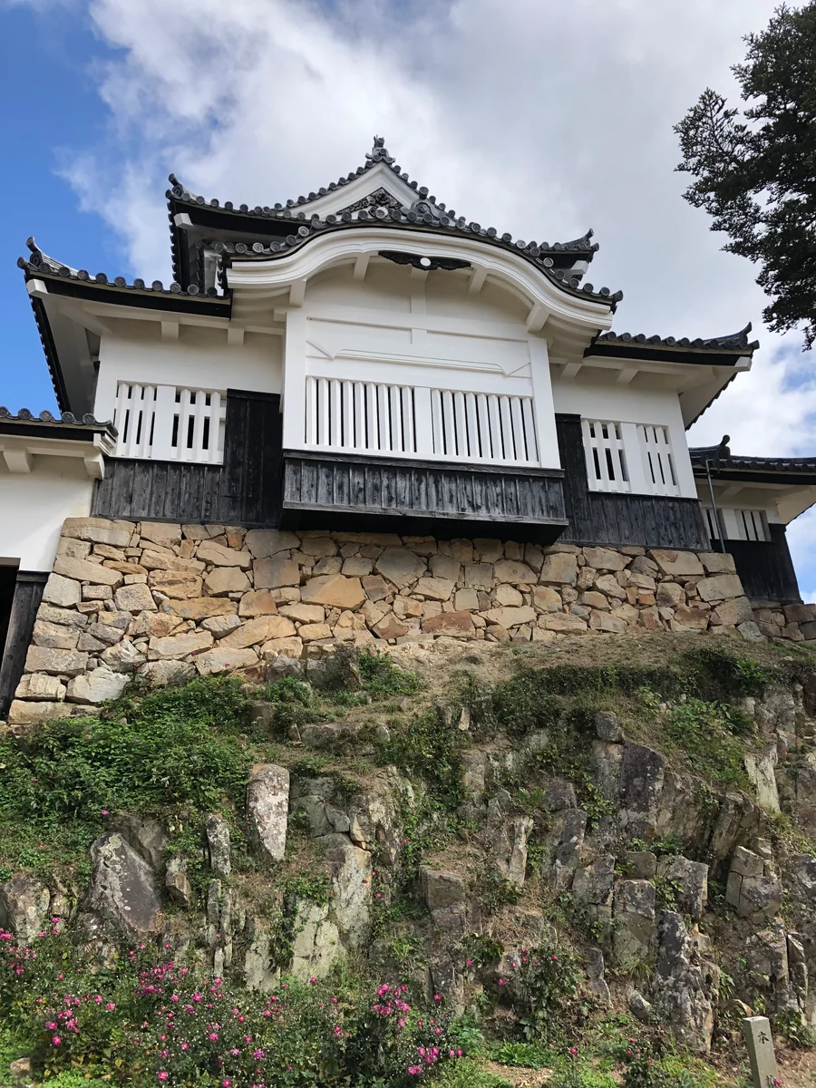 投稿写真：秋明菊と備中松山城