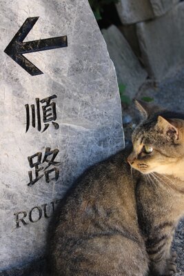  | 絶景事典