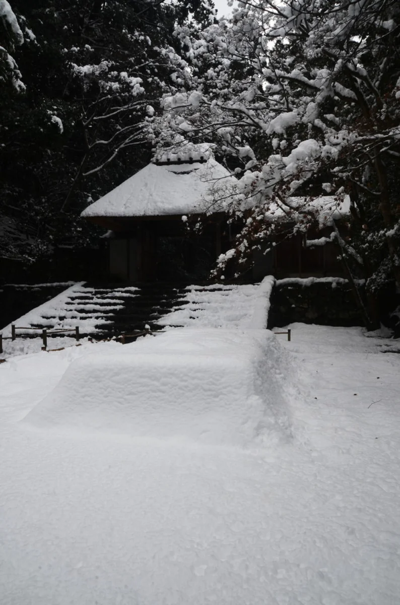 投稿写真：法然院雪景色