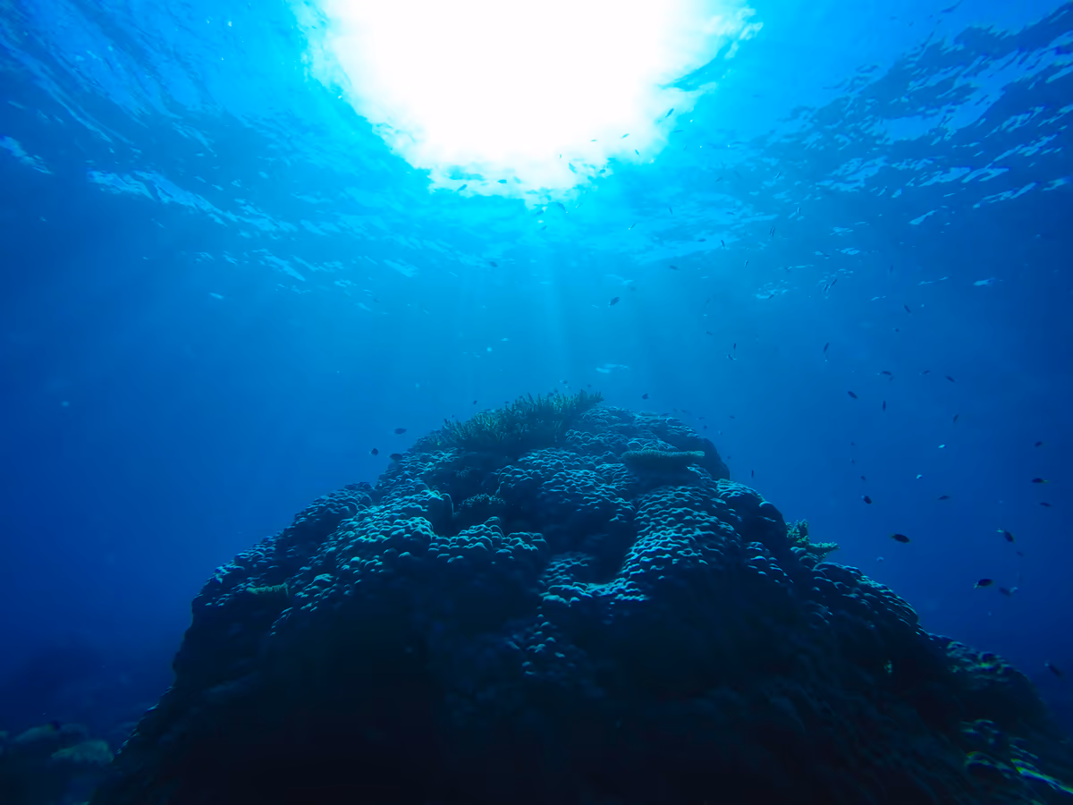 投稿写真：Australia　Great Barrier Reef