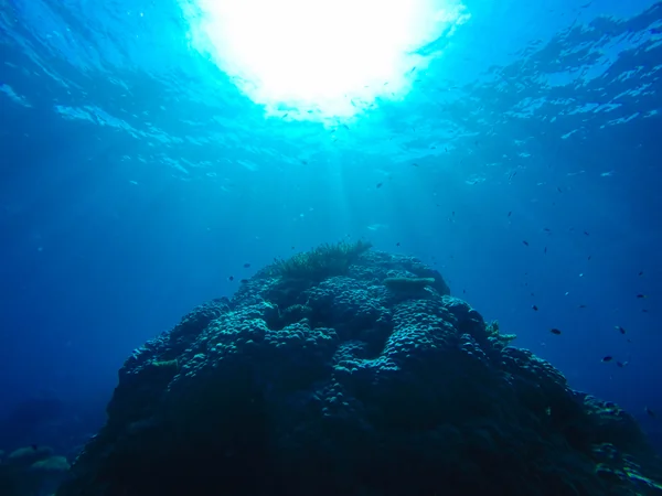 投稿：Australia　Great Barrier Reef