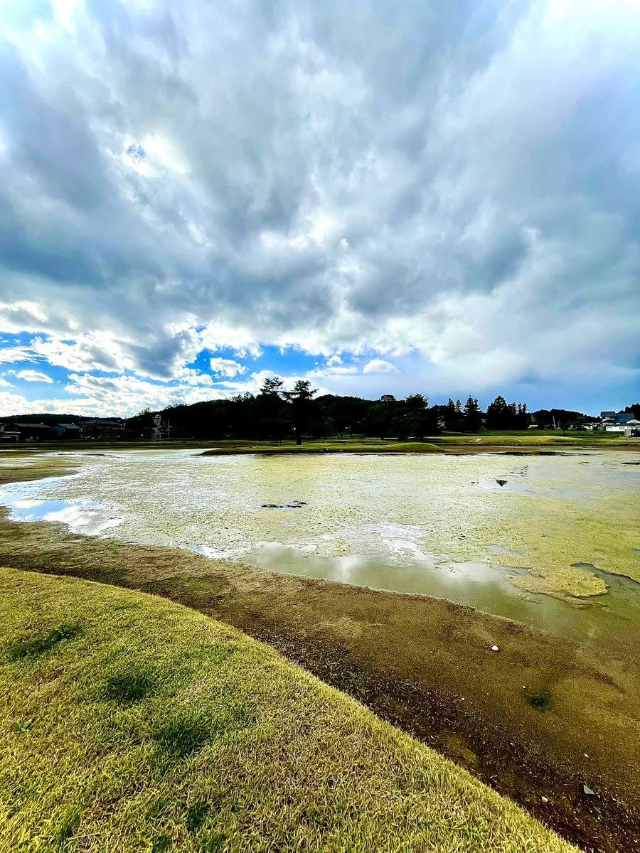 投稿写真：無限光院跡