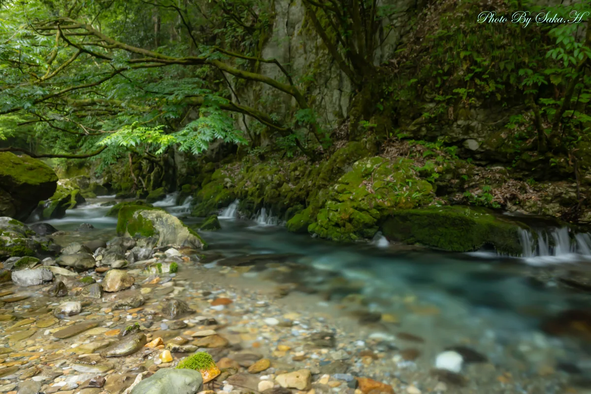 投稿写真：清涼