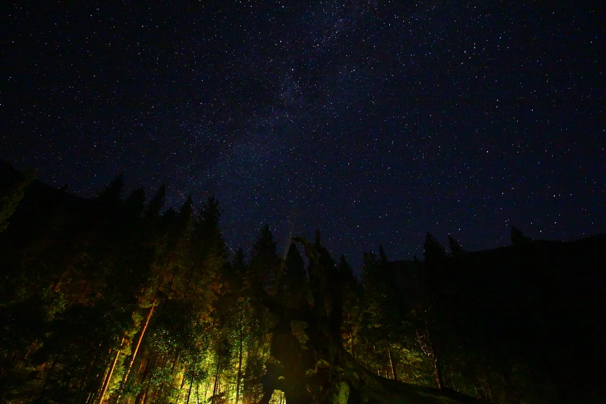 投稿写真：闇夜を照らす星空たち