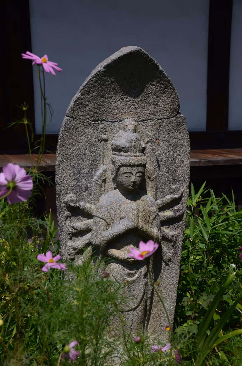 投稿写真：般若寺　コスモス