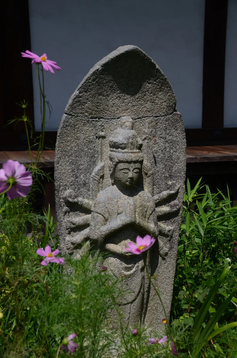 投稿写真：般若寺　コスモス