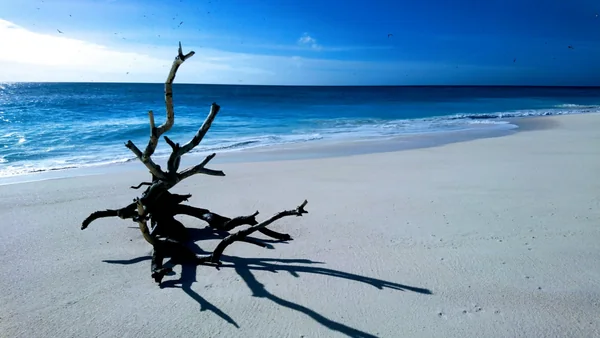 投稿：絶海の孤島にて