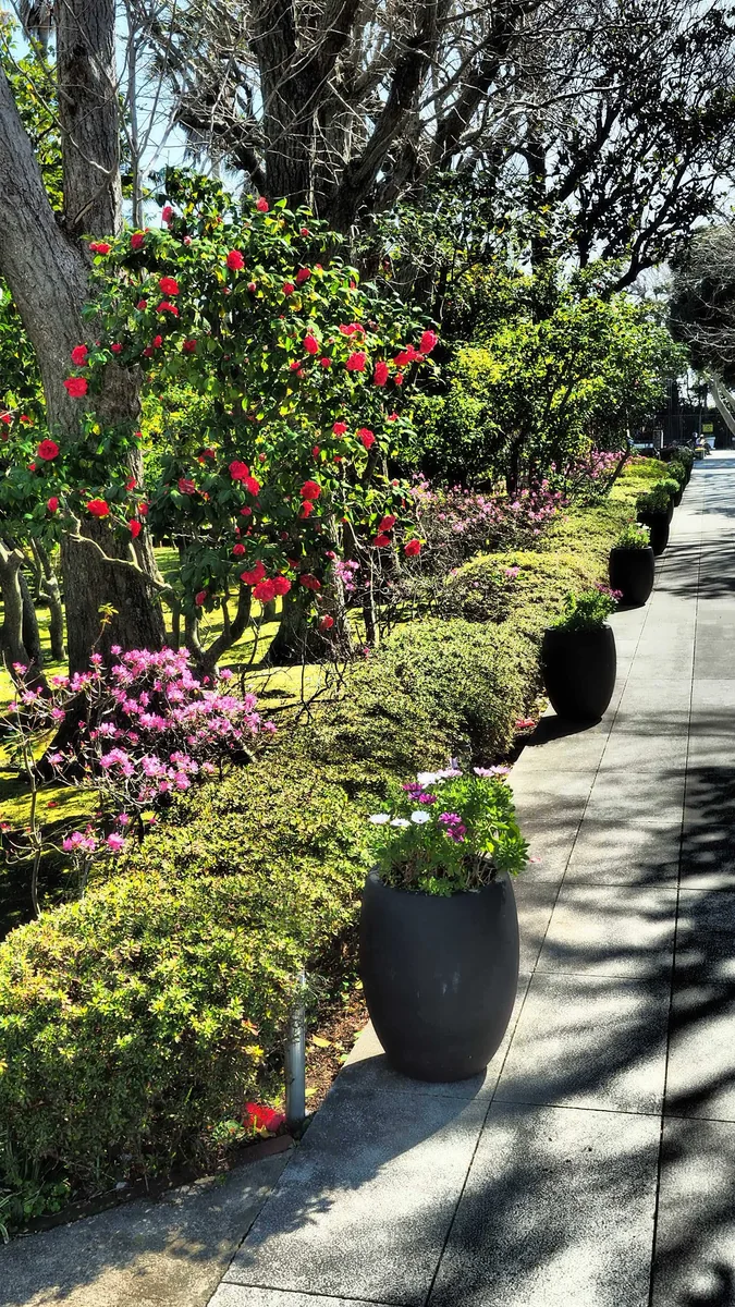 投稿写真：江ノ島　サムエル・コッキング苑