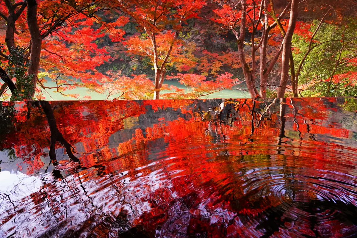 投稿写真：嵐山祐斎亭