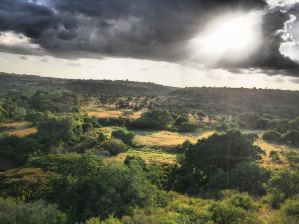 投稿：ナイロビ国立公園