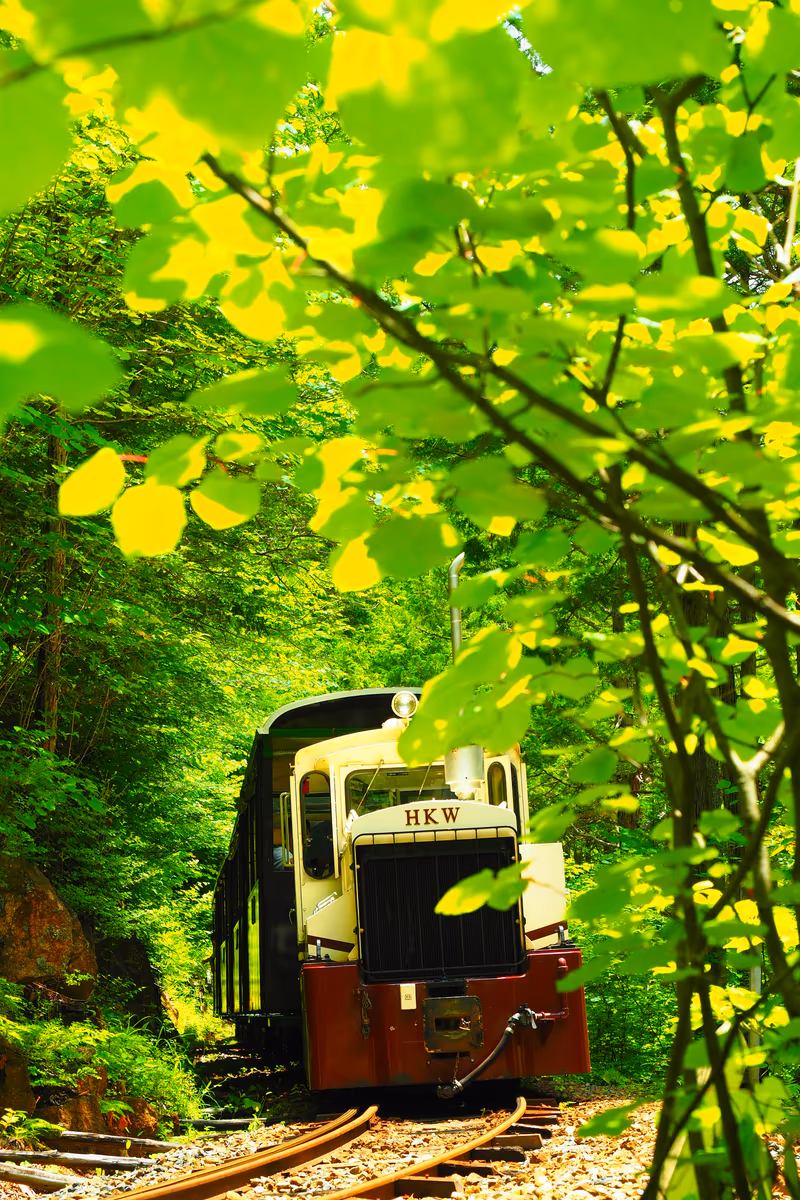 投稿写真：赤沢森林鉄道