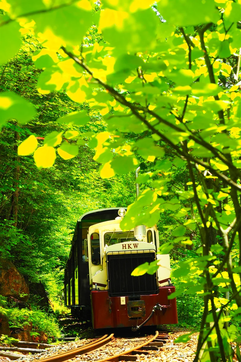 投稿写真：赤沢森林鉄道