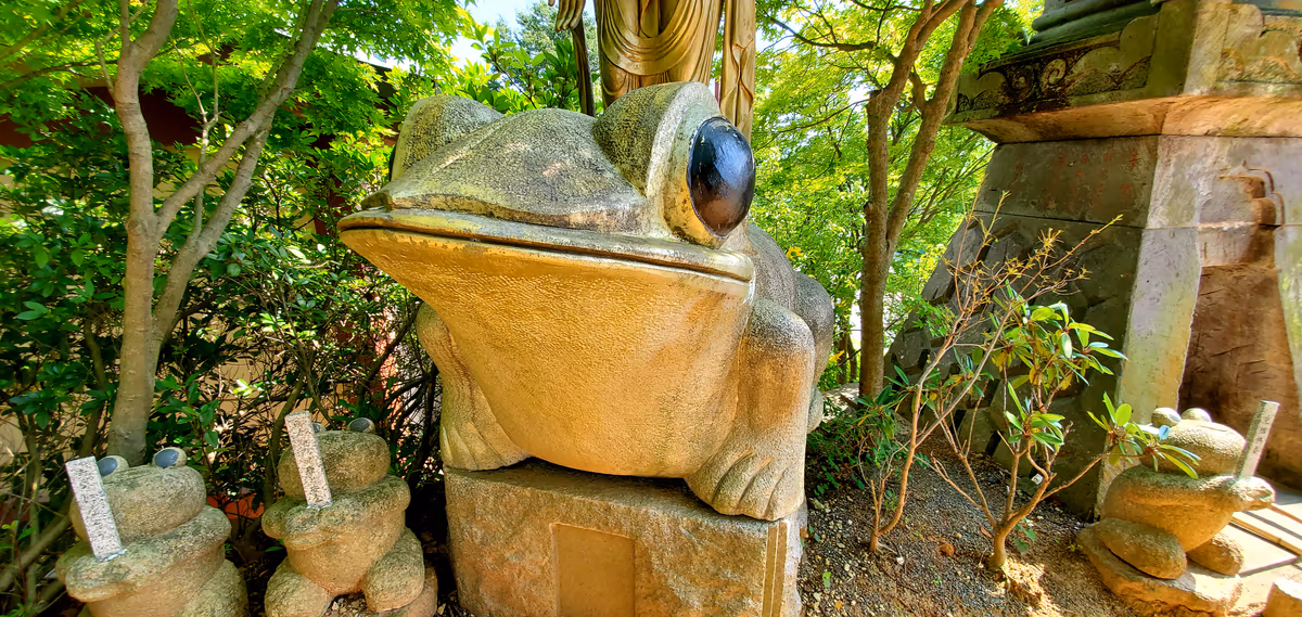 投稿写真：かえる寺の天辺