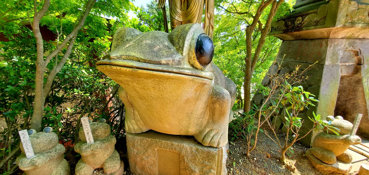 投稿写真：かえる寺の天辺