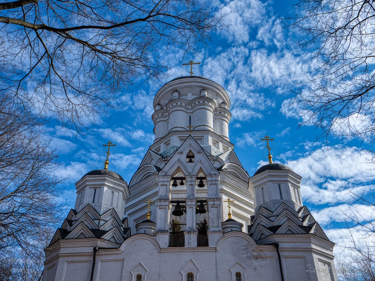 投稿写真：White in Blue