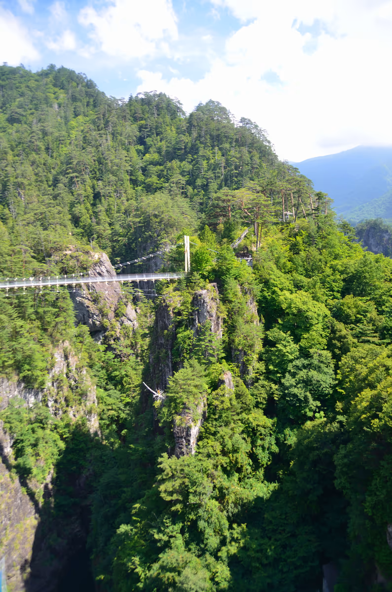 投稿写真：瀬戸合峡谷のつり橋